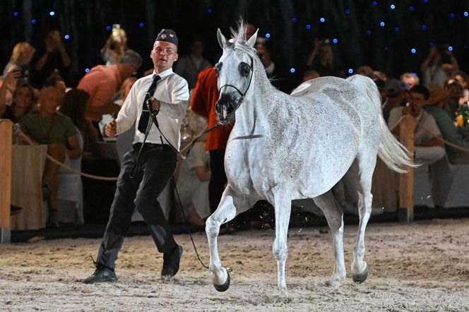 Pride of Poland 2025