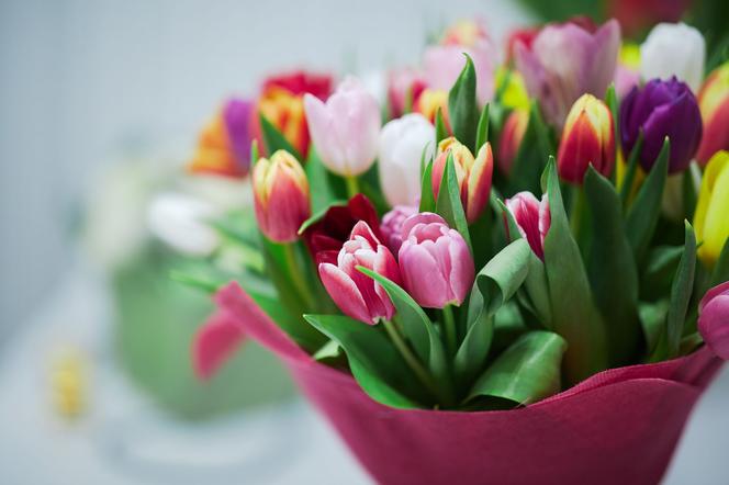 Bukiet z tulipanów