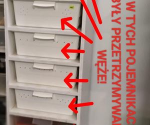 Dramatyczna interwencja w sklepie zoologicznym na Śląsku. Zwierzęta przetrzymywane w skandalicznych warunkach