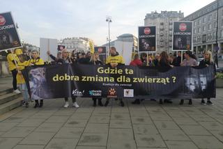 Trwa Wielki Marsz dla Zwierząt w Warszawie. Czego domagają się uczestnicy?