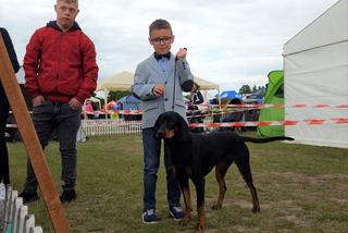 Rasowe psy na lotnisku w Lesznie