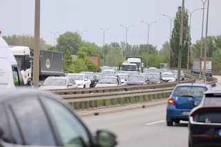 Warszawa sparaliżowana! Karambol po potrąceniu dzika. Kosmiczny korek aż do Marsa