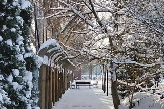 Takiej zimy we Wrocławiu  nie było od kilku lat. Zobacz te piękne ośnieżone miejsca