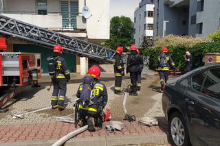 Warszawa: Pożar balkonu przy Międzyborskiej. Trzy zastępy gasiły płonącą... donicę! [WIDEO, GALERIA]