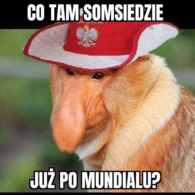 Niemcy odpadają z mundialu! Najlepsze memy