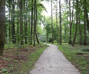 Zabytkowy park pod Lubawą zmienił się nie do poznania. Teraz wygląda jak z bajki