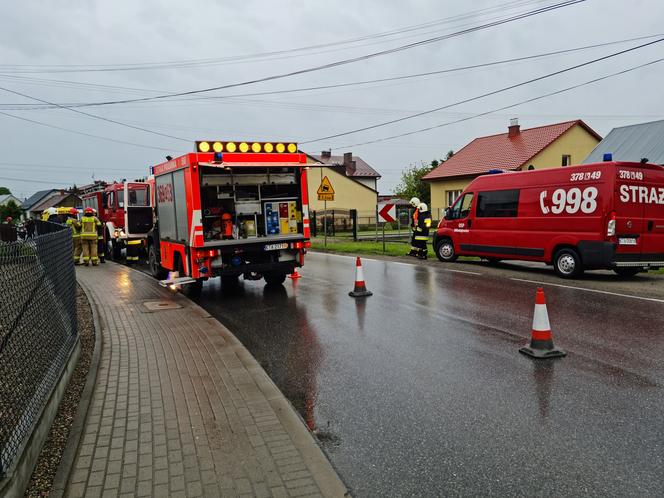 Mała sarenka uwięziona przy autostradzie pod Tarnowem. Uwolnili ją strażacy