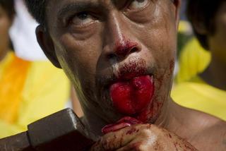 Krwawy festiwal w Tajlandii 