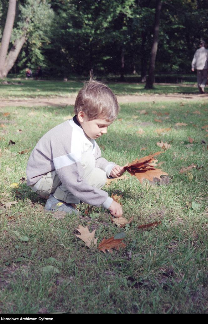 Chłopiec zbiera liście (1996 r.)