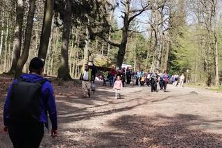 Koszmarny wypadek na szlaku na szczyt. Na miejsce wezwano śmigłowiec LPR