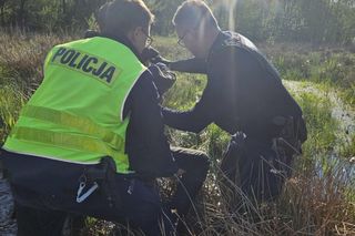 Poszukiwania pod Bełchatowem. 76-latek ugrzązł na mokradłach [ZDJĘCIA].