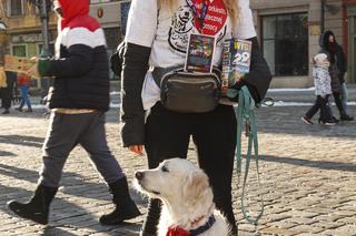 Wielka Orkiestra Świątecznej Pomocy we Wrocławiu