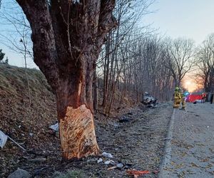 Sopieszyno. Audi roztrzaskało się na drzewie. 36-latek nie miał szans na przeżycie