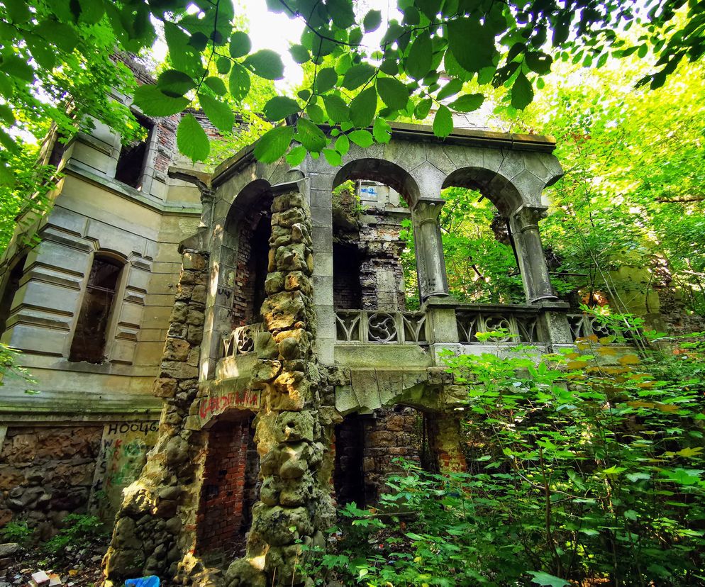 Pałac Moesów w Wierbce w woj. śląskim