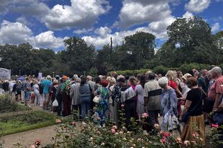 Kolejka tort urodziny Szczecina 