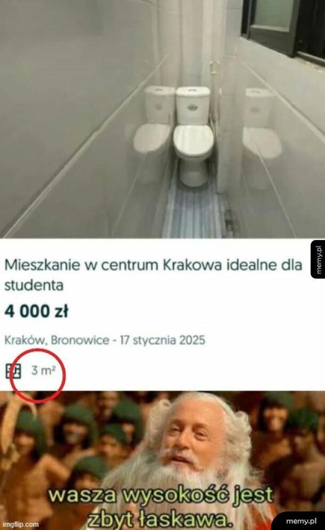 Najlepsze memy o deweloperach