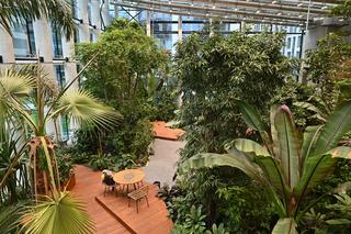 Ogród botaniczny wśród wieżowców