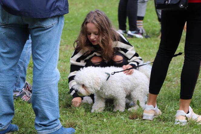 IX Piknik Przyjaciół Schroniska w Toruniu