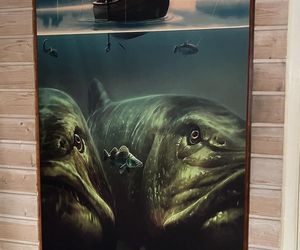 Polscy wędkarze złowili suma giganta o długości 292 cm. To nowy rekord świata!