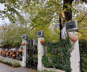 Willa na Jaśkowej Dolinie znów ozdobiona. Tym razem przechodniów zaskakują halloweenowe straszydła!