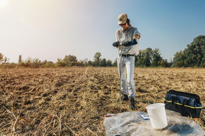 Osoba dokonuje pomiarów gleby