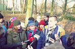 Protestują przeciwko wycince drzew w parku Grabiszyńskim