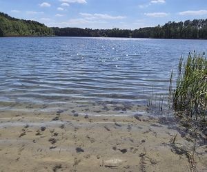 To jezioro w Olsztynie ma niezwykle czystą wodę. Jest kilka dzikich plaż, które świecą pustkami
