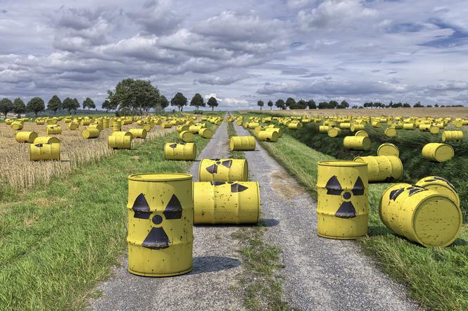 The Guardian: Rosja odłączy Ukrainę od Zaporoskiej Elektrowni Atomowej/ zdj. poglądowe