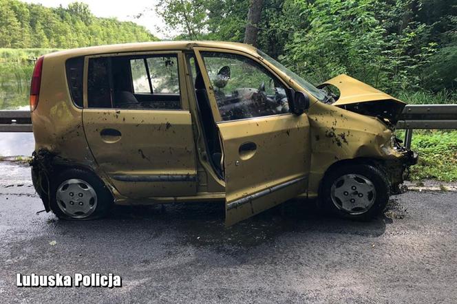 Samochód wpadł do stawu pod Świebodzinem