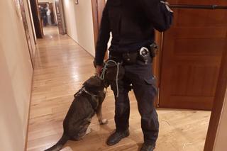 Zatrzymali „Szamana” i przerwali narkotyczną ceremonię. Cztery osoby w rękach policji