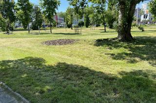 Skwer Jagiellonów w dzielnicy Czarnów w Kielcach