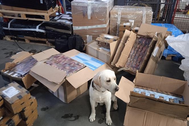 Pies Ares w akcji. Celnicy skonfiskowali nielegalne papierosy i tytoń 