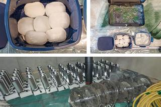 Znany warszawski raper Kaczy Proceder w rękach policji! W tle tony przemyconych narkotyków