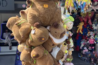 Ceny w nadmorskich kurortach zwalają z nóg. Pluszak za 150 zł?