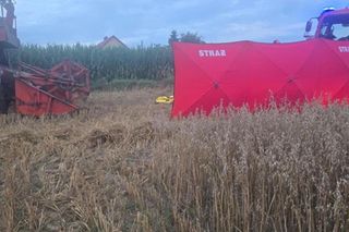 Śmiertelny wypadek na polu pod Chojnicami. Ojciec potrącił kombajnem 29-letniego syna [ZDJĘCIA]