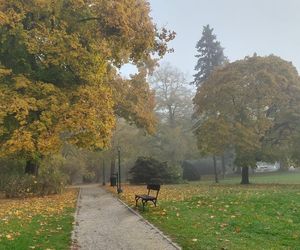 Zamojski Park jesienią