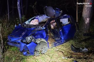 Poważny wypadek w Kobiórze. Kobieta wjechała toyotą w łosia. Szokujące zdjęcia