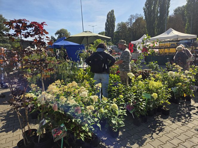 Jesienny Kiermasz Ogrodniczy w Bydgoszczy przyciągnął miłośników zieleni i smakołyków!