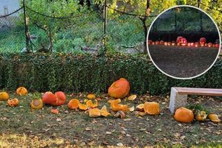 Ksiądz zniszczył halloweenowe dynie. Moim obowiązkiem jako autorytetu jest ochrona dzieci