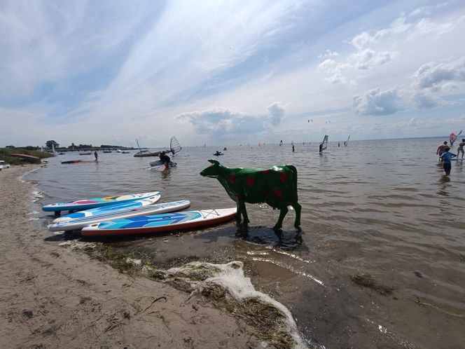 Nietypowa atrakcja nad morzem. Ta figura stoi w wodzie! Turyści ją pokochali