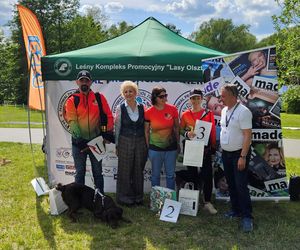 Festiwal Przyjaciół Zwierząt w Olsztynie. Park Centralny opanowały radosne pieski