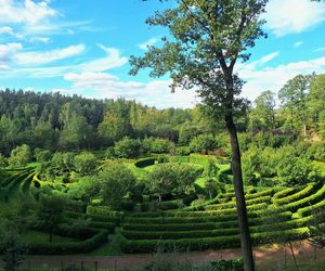 Arboretum Bramy Morawskiej zachwyca jesienią