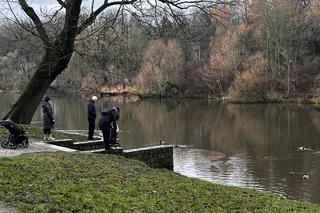 Noworoczny spacer po Szczecinie