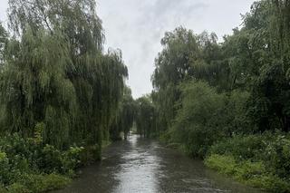 Brynica woj. śląskie - Sosnowiec, Stawiki