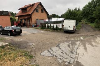 Bratanek zagrał moją głową w golfa. Dwa ciosy i pan Tomek padł jak długi