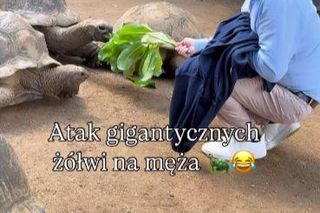 Maciej Orłoś, Paulina Orłoś