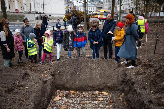 Plac Trzech Krzyży - drzewa mają swoich patronów 