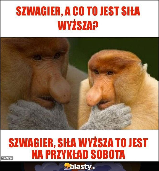 Memy na Dzień Szwagra 