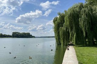 To świetne miejsce na jogging lub rower. Mieści się niedaleko Szczecina