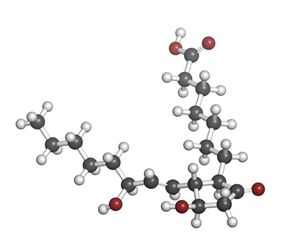 PROSTAGLANDYNY a zdrowie. Funkcje i zastosowanie prostaglandyn